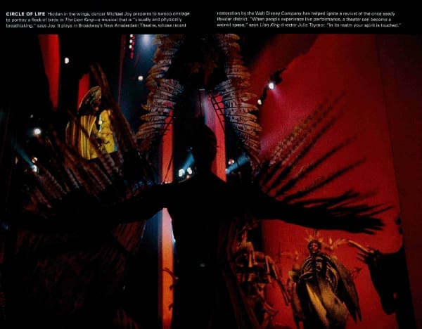 M Joy-National Geographic-Lion King
